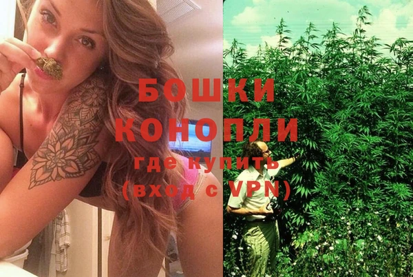 сатива Бронницы