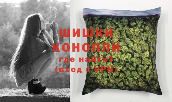 сатива Бронницы