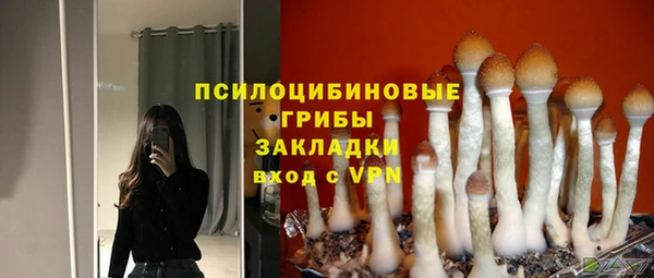 сатива Бронницы