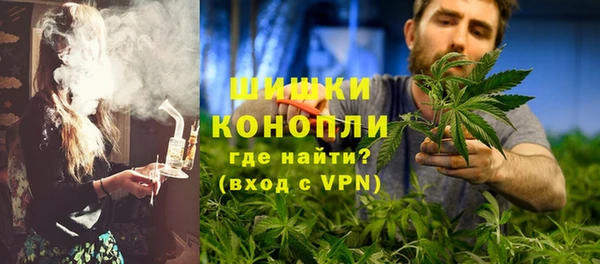 сатива Бронницы