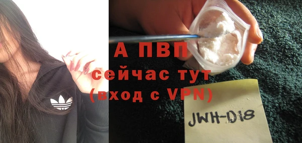 сатива Бронницы