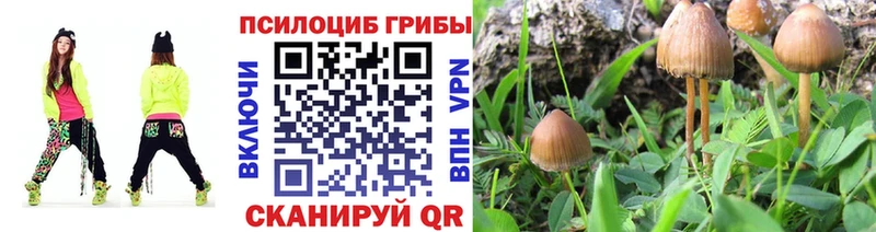MEGA ТОР  купить наркоту  Новый Уренгой  сайты даркнета формула  Псилоцибиновые грибы Magic Shrooms 